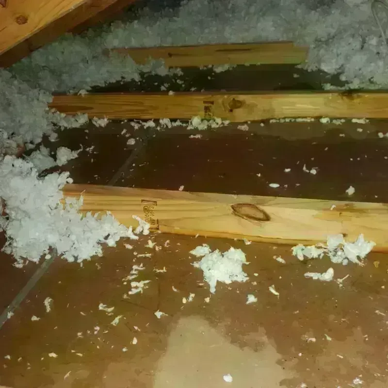 Attic Water Damage in Camdenton, MO